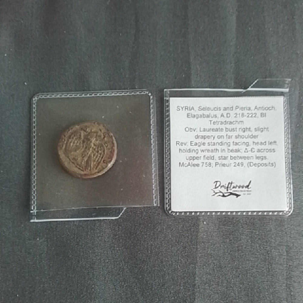 DRIFTWOOD Bronze Coin in Protective Sleeve